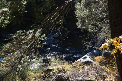 DSC_6460 (Large).JPG